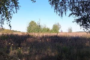 ділянка за адресою с. Тахтаулове, Павла Тичини, 7