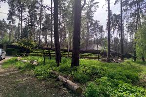 участок по адресу с. Плюты, Лісова