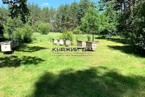 дом по адресу Садовая ул., 20