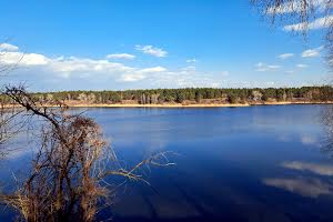 будинок за адресою смт. Власівка, розовая