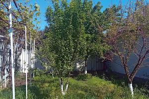 будинок за адресою Платанова вул.
