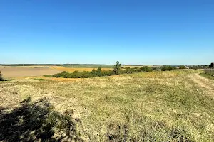 участок по адресу с. Лесовые Гриневцы, Центральна