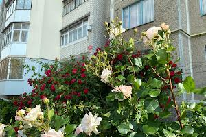 квартира за адресою Дмитра Майбороди вул. (Збишка), 6
