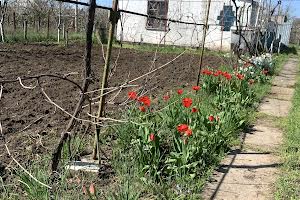 дом по адресу с. Доброалександровка, Компанейская