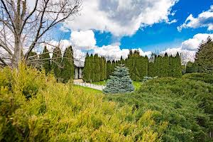 комерційна за адресою Бориспільський, 1