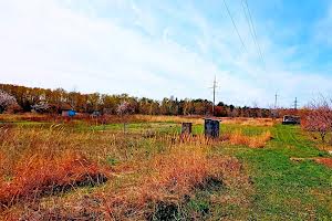 участок по адресу Чернигов, просп Миру