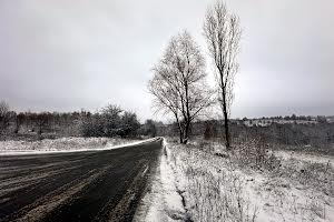 участок по адресу с. Ходосовка, 