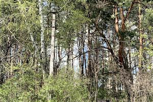 дом по адресу садова, 6