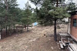 ділянка за адресою Старокиївська