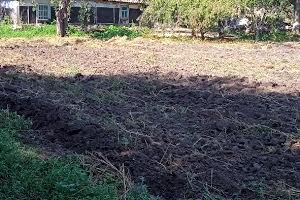 участок по адресу Колгоспна, 32