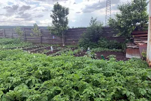 ділянка за адресою 6-та Лінія вул.