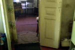 дом по адресу Жовтнева