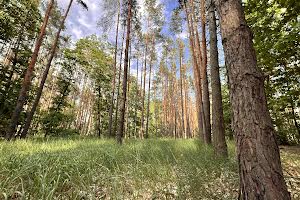 ділянка за адресою смт. Гостомель, 