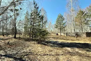 ділянка за адресою с. Дмитрівка, 