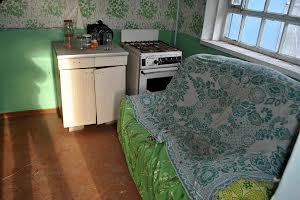 будинок за адресою с. Новостепанівка, Вишнева