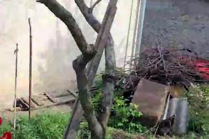 будинок за адресою 21-й км Старокиевской дороги вул.