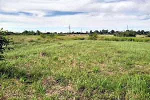 ділянка за адресою Стуса