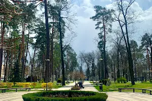 коммерческая по адресу Матвія Донцова ул. (Тургеневская), 24