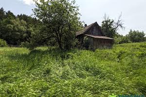 ділянка за адресою с. Рибне, 