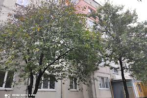 квартира за адресою Європейська вул. (Червоноармійська), 9