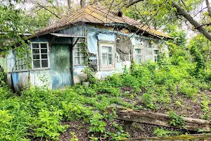 дом по адресу Мічуріна