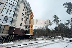 коммерческая по адресу Прорізна ул., 1