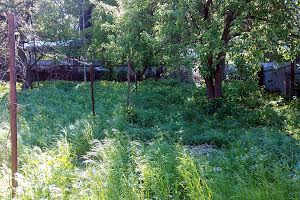 дом по адресу Писарева, 38