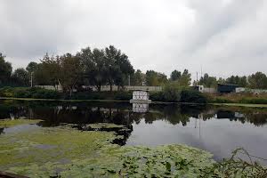 дом по адресу Центральная ул.