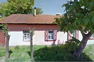 будинок за адресою Олени Білевич вул., 45
