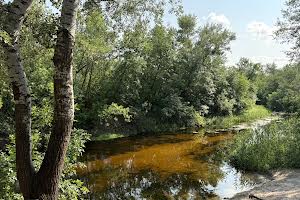будинок за адресою Лісна, 2
