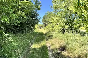ділянка за адресою Хмельницький, Квіткова вул.