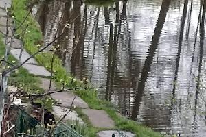 будинок за адресою Миколи Вінграновського вул. (Пушкіна)