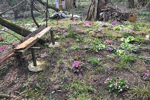 участок по адресу Заставненская ул., 38