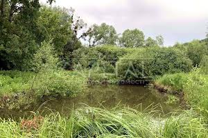 ділянка за адресою с. Великі Дмитровичі, 