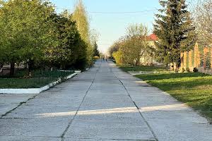 дом по адресу с. Шевченково, Княгині Ольги