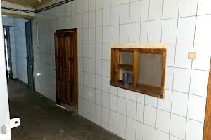 комерційна за адресою Мирослава Мисли вул. (Цілиноградська), 36а