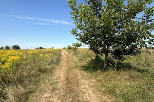 ділянка за адресою Вишнева вул.