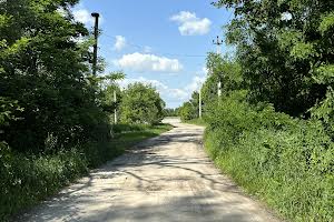участок по адресу с. Копылов, 
