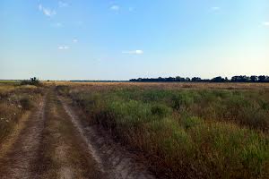 участок по адресу Село Щасливе