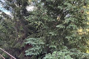 будинок за адресою Біла Церква, Нечуй-Левицького, 9