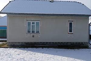 дом по адресу Царинська