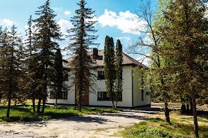 комерційна за адресою Житомир, Лісова, 1