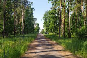 участок по адресу Лісова