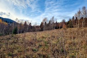 ділянка за адресою с. Орявчик, Князя Святослава вул.