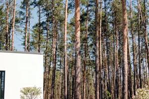 дом по адресу Лесі Українки