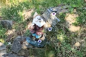 дом по адресу Винница, Пролісковий