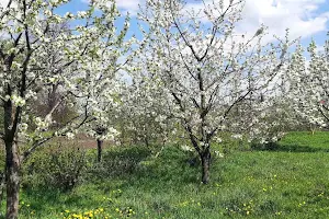 будинок за адресою Польова вул., 6