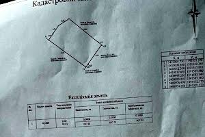 ділянка за адресою Грицишина