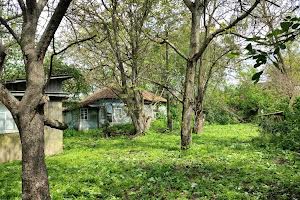 дом по адресу Мічуріна