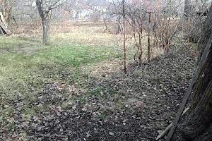 будинок за адресою Зоряна, 79